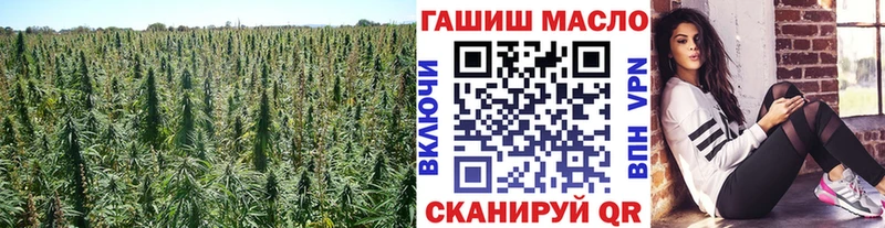 купить  цена  Железногорск-Илимский  Дистиллят ТГК концентрат 